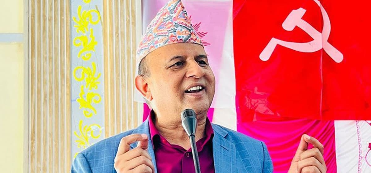 UML Leader Questions VAT on Electricity: Who Benefits?